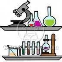 Ardhiani Kurnia Hidayanti